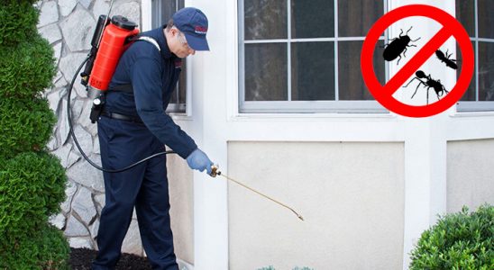 Ayvacık Böcek İlaçlama böcek ilaçlama ve haşere kontrolü — ilaclama-tr.com